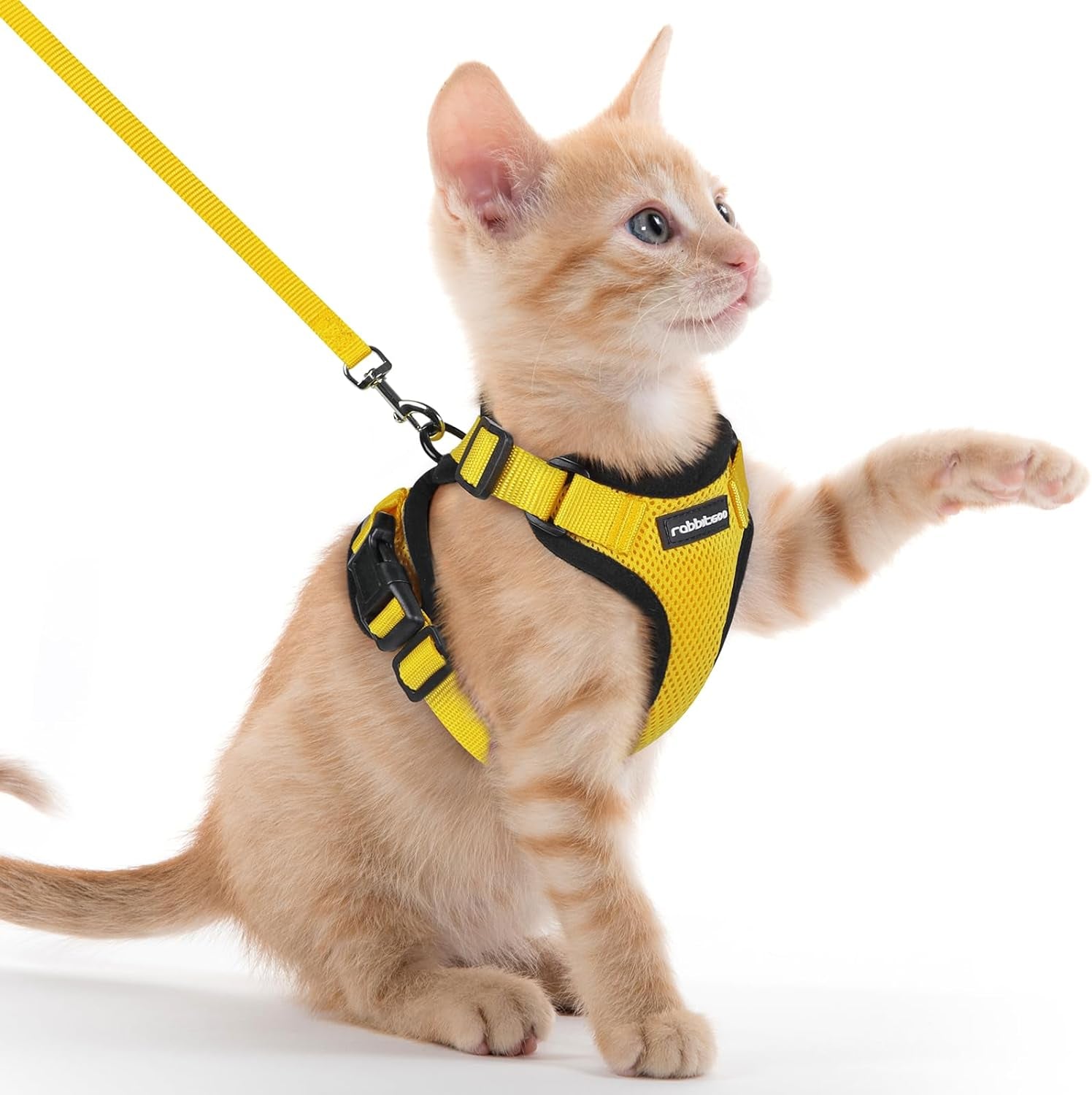 Cat Harness and Leash for Walking, Escape Proof Soft Adjustable Vest Harnesses for Cats, Easy Control Breathable Reflective Strips Jacket, Black, S