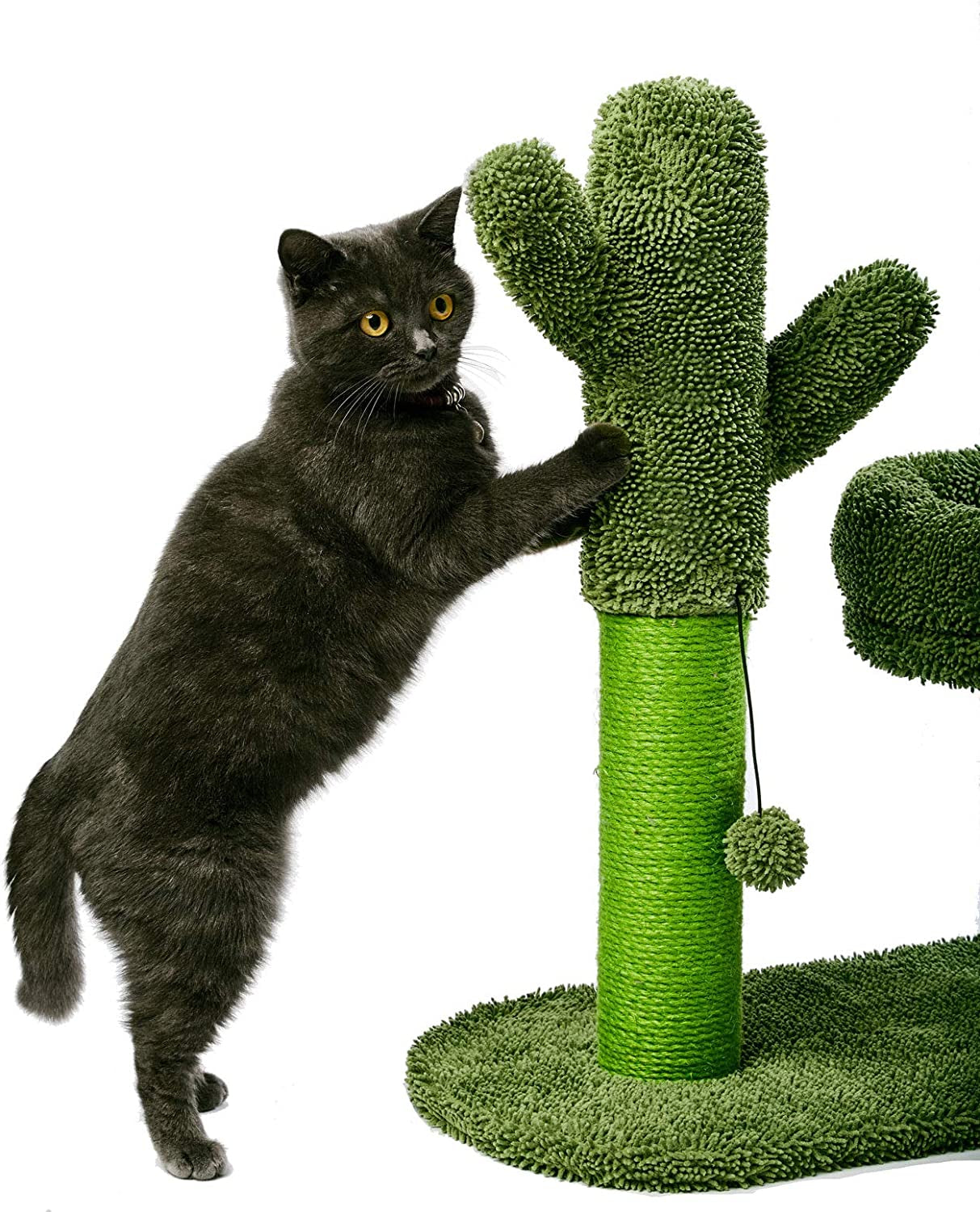 Small Cat Scratching Posts Kitty Coconut Palm Tree-Cat Scratch Post for Cats and Kittens - Natural Jute Sisal Scratch Pole Cat Scratcher (Cactus)