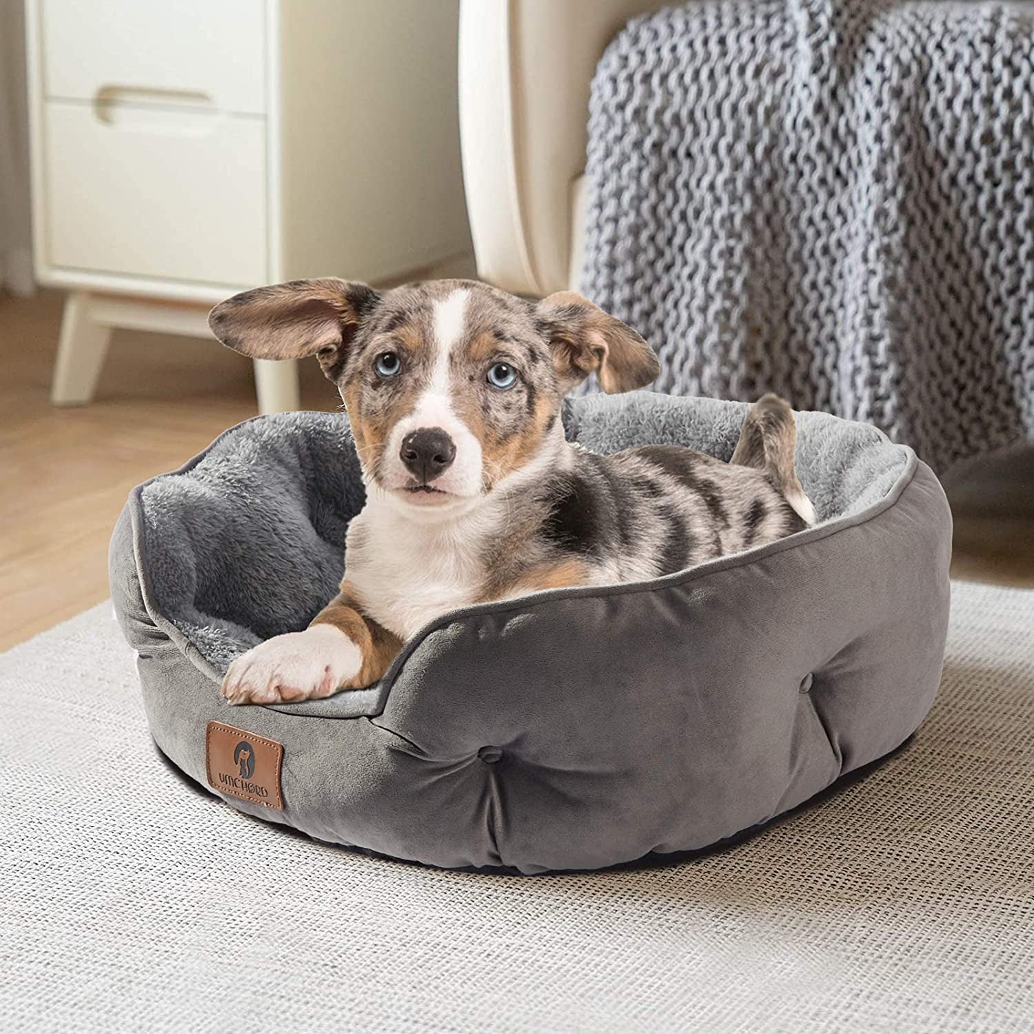 Small Dog Bed for Small Dogs, Cat Beds for Indoor Cats, Pet Bed for Puppy and Kitty, Extra Soft & Machine Washable with Anti-Slip & Water-Resistant Oxford Bottom, Grey, 20 Inches