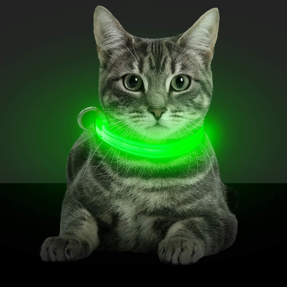 Light up Dog Collars - Rechargeable Glowing LED Dog Collar for Small Dogs & Cats (Green)