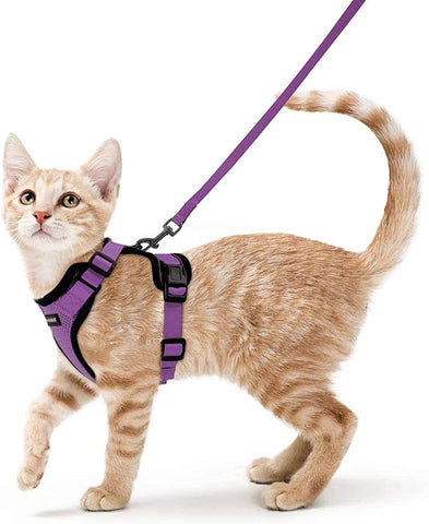 Cat Harness and Leash for Walking, Escape Proof Soft Adjustable Vest Harnesses for Cats, Easy Control Breathable Reflective Strips Jacket, Black, S