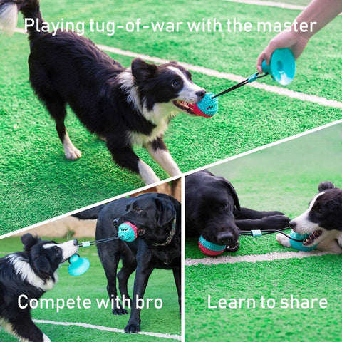 Interactive Dog Toys Tug of War, Mentally Stimulating Toys for Dogs, Puppy Teething Toys for Boredom, Dog Puzzle Treat Food Dispensing Ball Toy for Small Medium Dogs