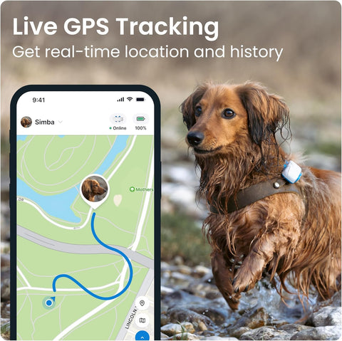 GPS Tracker & Health Monitoring for Dogs - Market Leading Pet GPS Location Tracker, Wellness & Escape Alerts, Waterproof, Works with Any Collar (White)