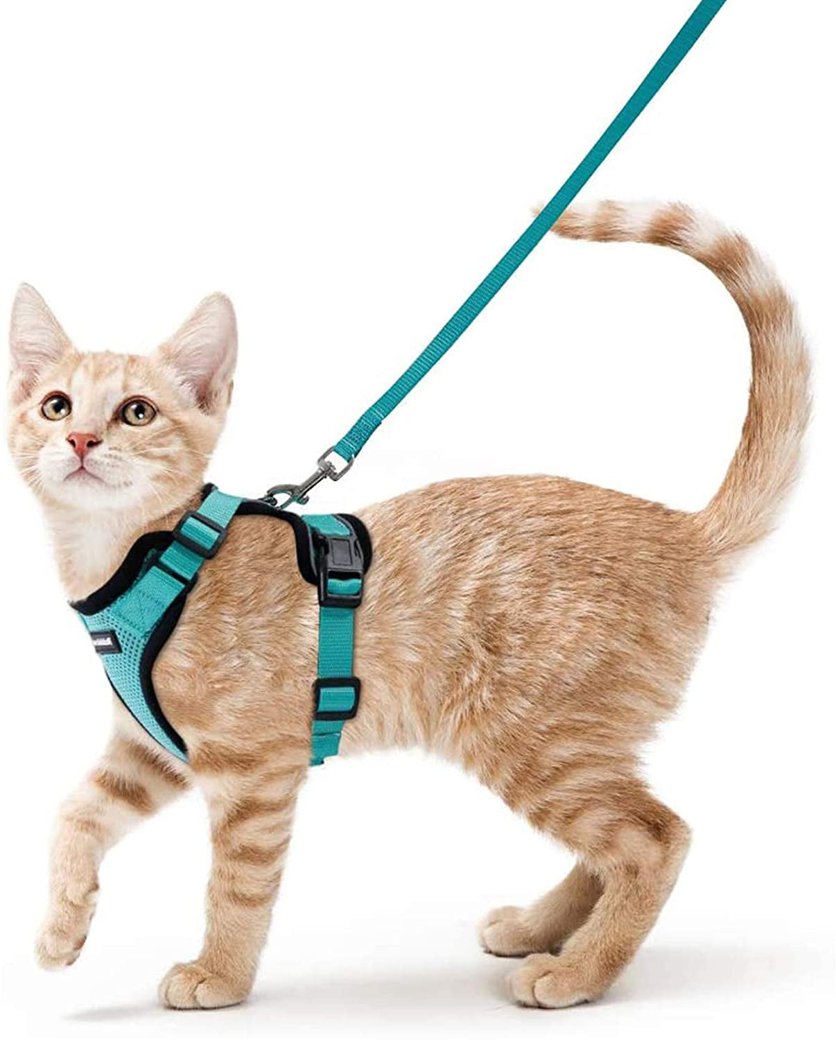 Cat Harness and Leash for Walking, Escape Proof Soft Adjustable Vest Harnesses for Cats, Easy Control Breathable Reflective Strips Jacket, Black, S