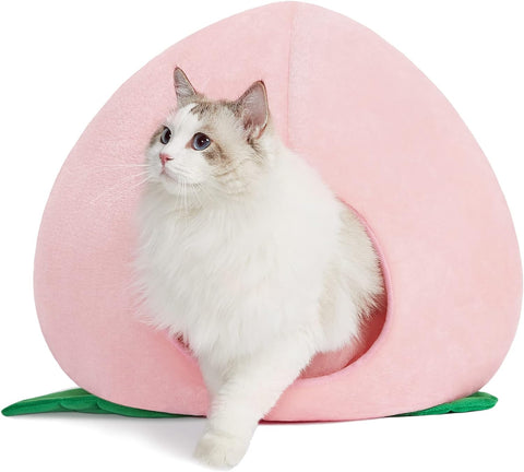 Cactus Cat Beds for Indoor Cats - Warm Cat House Pet Bed for Large Cat or Small Dog, Animal Cave Cat Tent Kitten Bed with Removable Washable Cushion