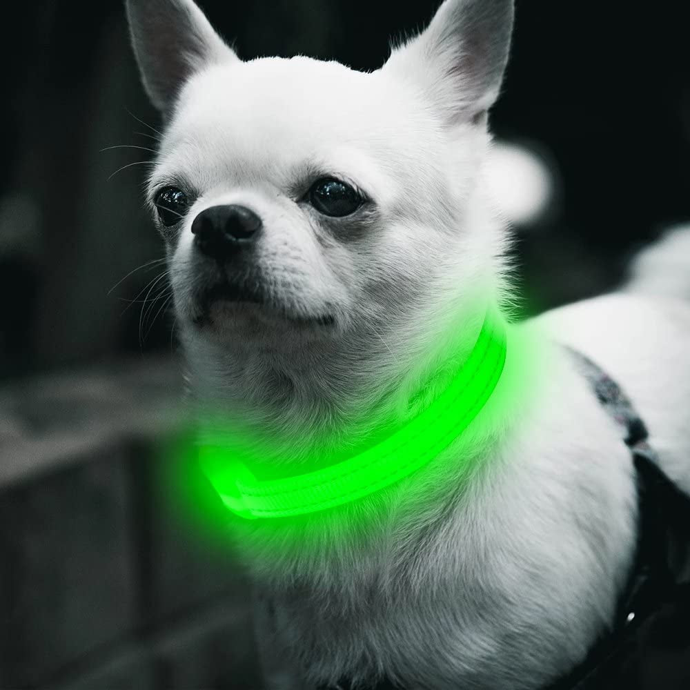 Light up Dog Collars - Rechargeable Glowing LED Dog Collar for Small Dogs & Cats (Green)