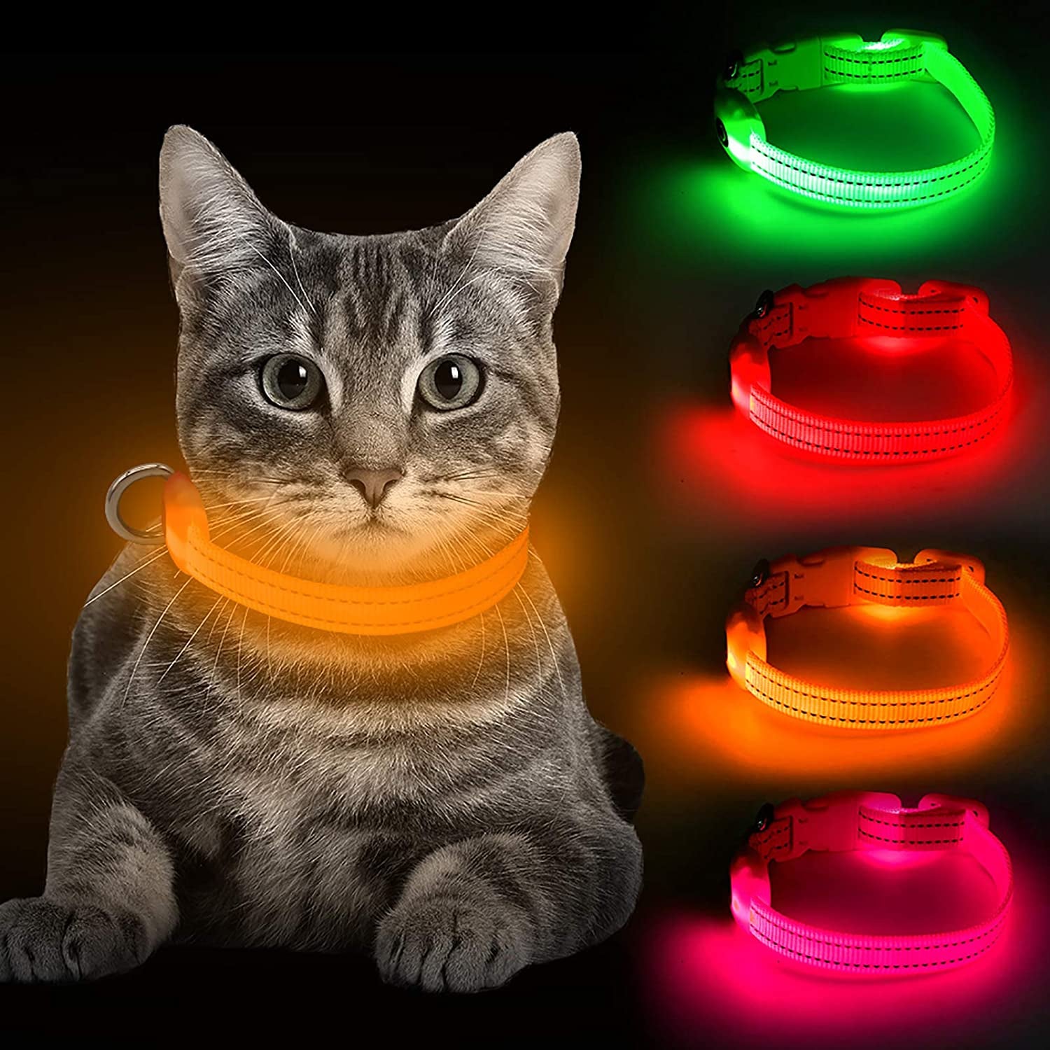 Light up Dog Collars - Rechargeable Glowing LED Dog Collar for Small Dogs & Cats (Green)