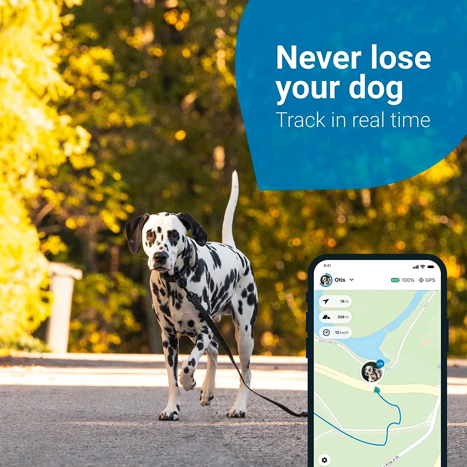 GPS Tracker & Health Monitoring for Dogs - Market Leading Pet GPS Location Tracker, Wellness & Escape Alerts, Waterproof, Works with Any Collar (White)