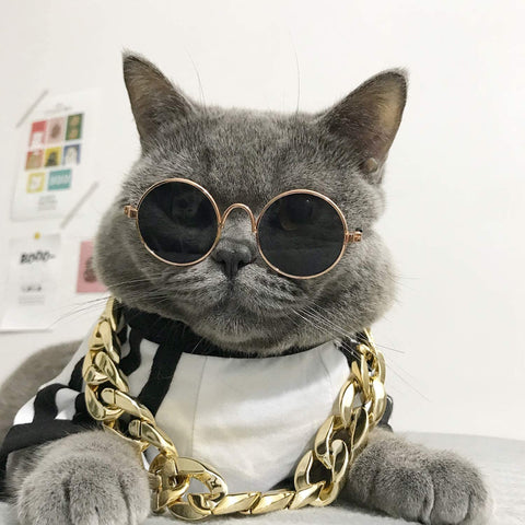 , 2Pcs Fashion Cool Pet Sunglasses Adjustable Pet Gold Chain Set for Cats and Small Dogs