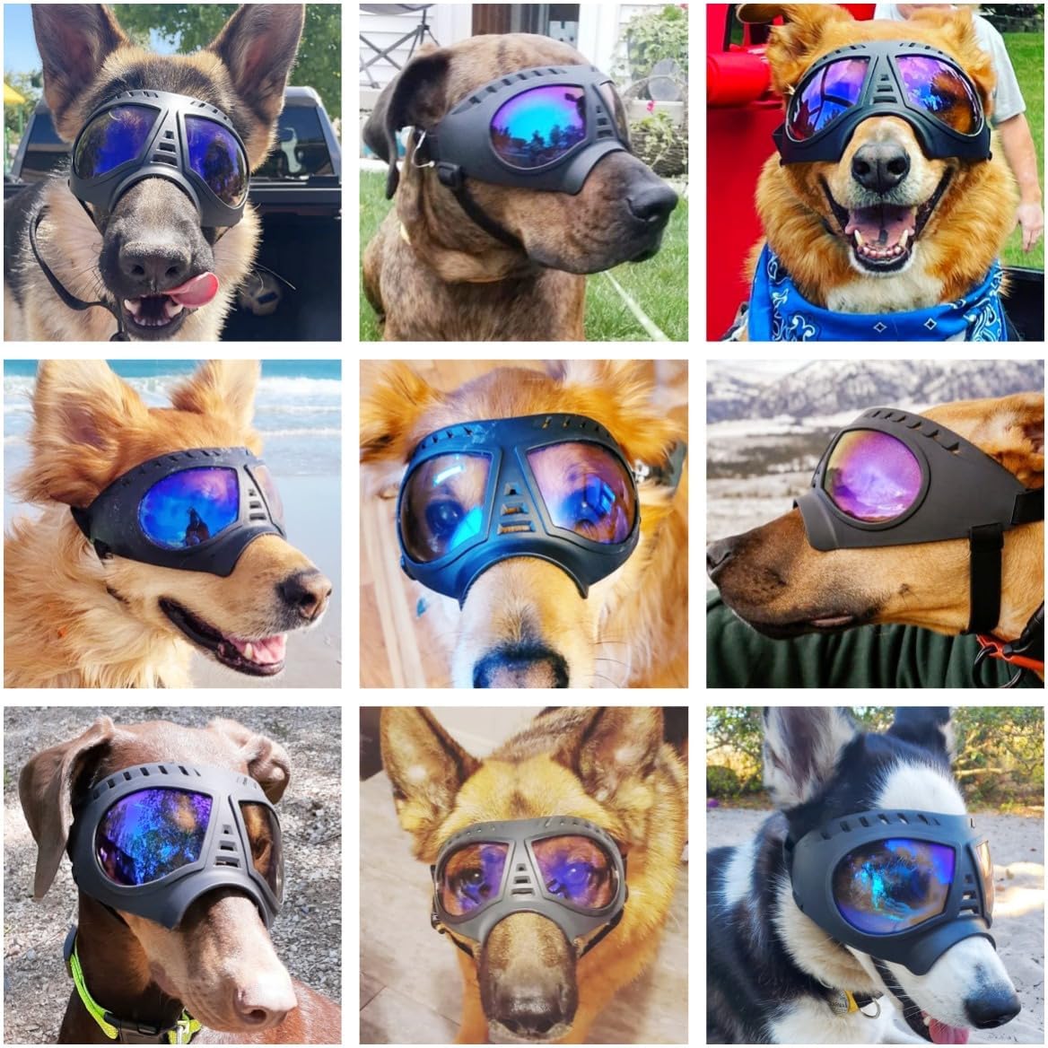 Dog Goggles for Large Dogs UV Dog Sunglasses Medium Large Breed Transparent Dog Glasses Wind/Dust/Fog/Snow Dog Eye Protection, Wide Snout Rest, Soft Frame, Clear Blue