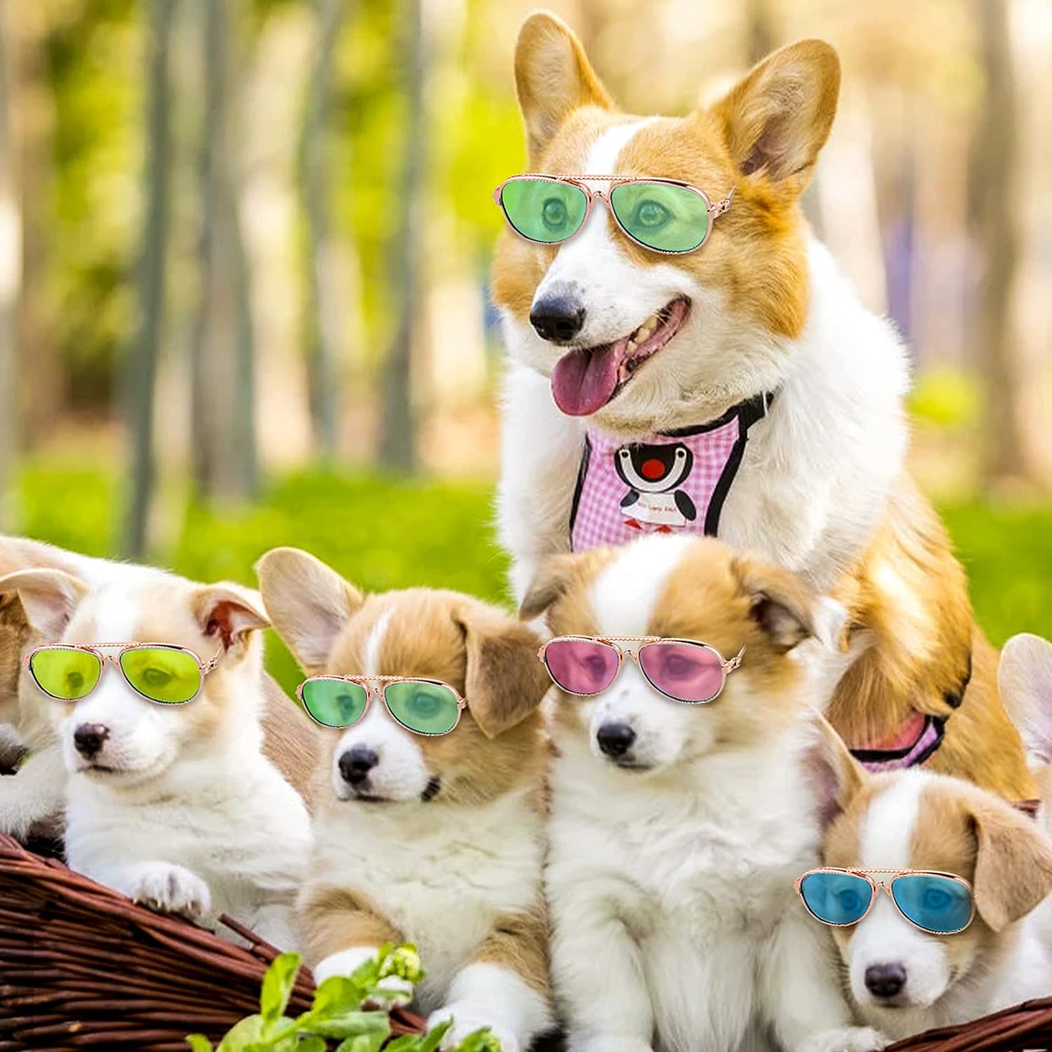 Cat Sunglasses- Pet Puppy UV Protection Sunglasses Dolls Sun Glasses, Small Dog Cosplay Photo Props Cute Sunglasses (4Pcs- Aviator Sunglasses)