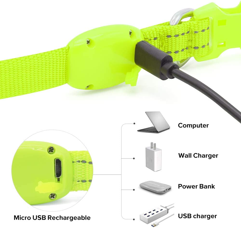 Light up Dog Collars - Rechargeable Glowing LED Dog Collar for Small Dogs & Cats (Green)