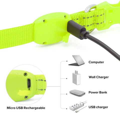 Light up Dog Collars - Rechargeable Glowing LED Dog Collar for Small Dogs & Cats (Green)