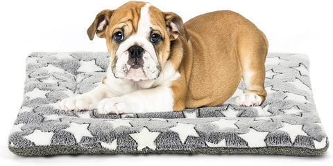 Dog Bed Mat, Reversible Crate Pad for Medium Small Dogs, Machine Washable, Portable and Soft Pet Bed Pad/Mat for 22-Inch Kennel