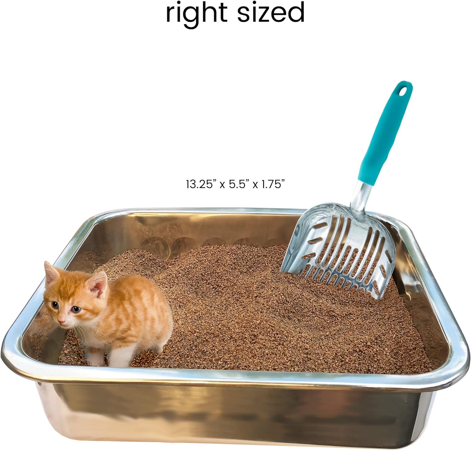 Premium Multicat Cat Litter Scoop