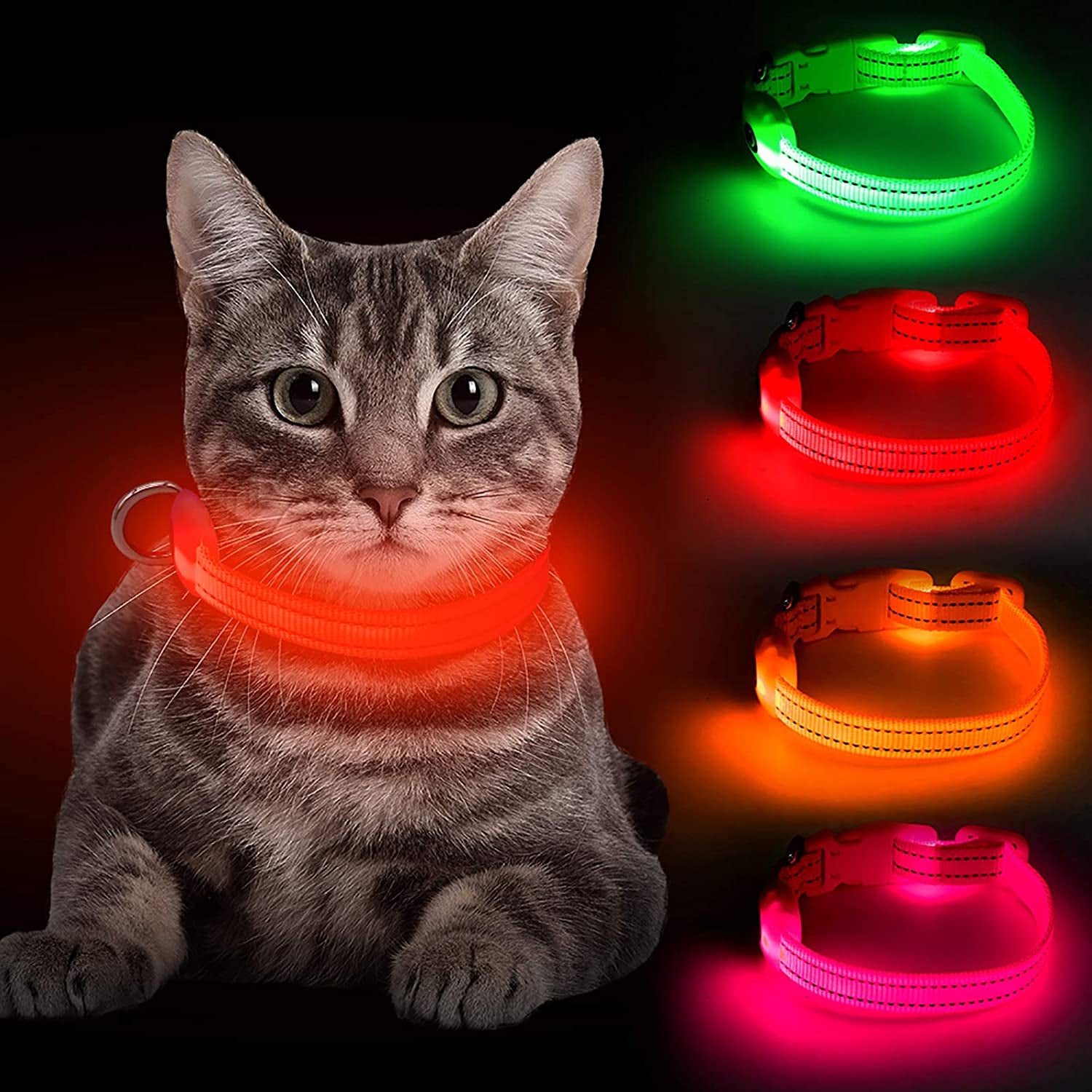 Light up Dog Collars - Rechargeable Glowing LED Dog Collar for Small Dogs & Cats (Green)