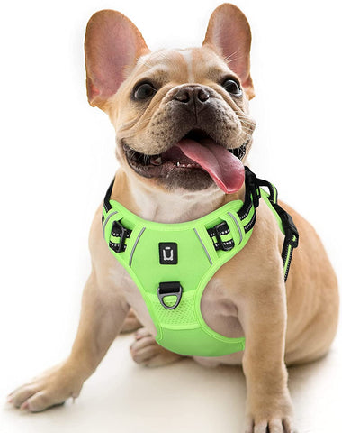 Dog Harness Waldseemuller Dog Harness for Large Dogs No Pull,Harness Medium Size Dog 4 Buckles Easy Walk Harness,No Pull Harness for Small to Extra Large Dog,Puppy Harness for Puppy Training