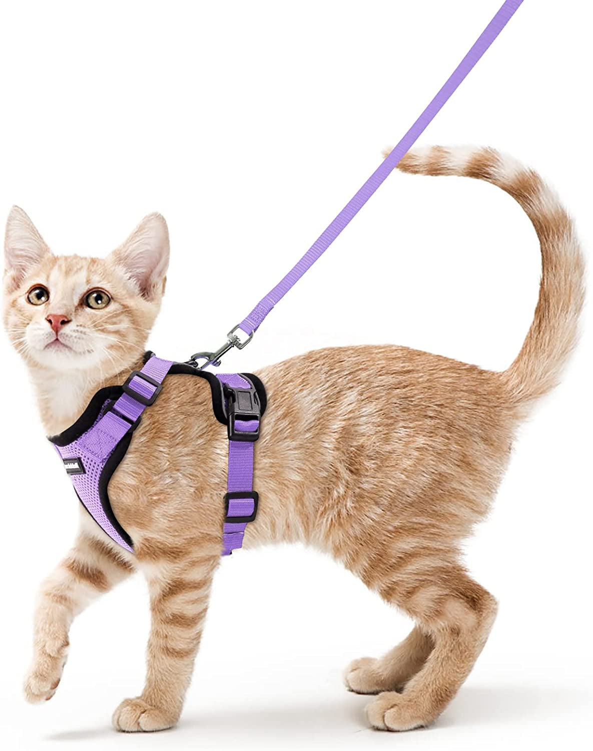 Cat Harness and Leash for Walking, Escape Proof Soft Adjustable Vest Harnesses for Cats, Easy Control Breathable Reflective Strips Jacket, Black, S