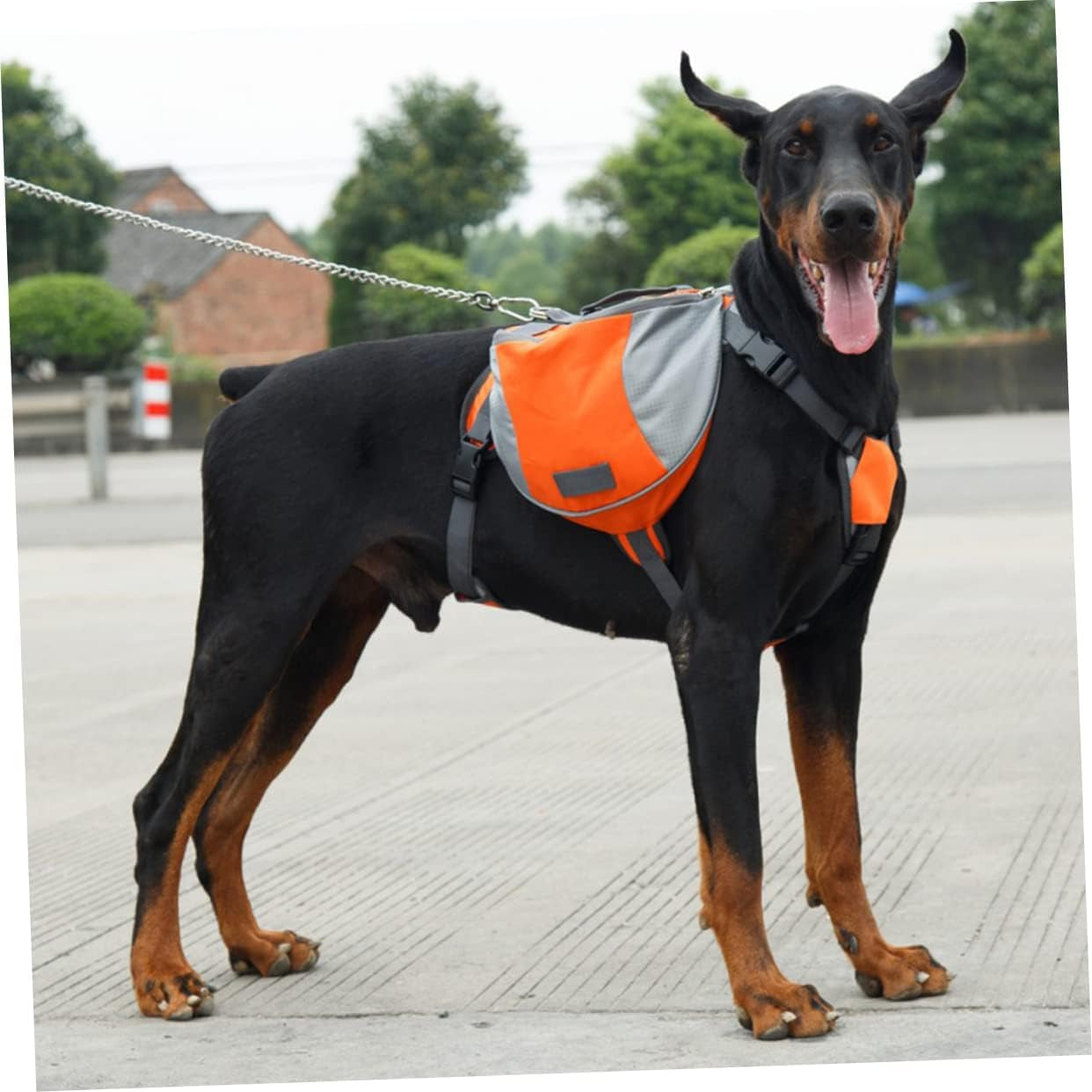 Pack Hound Puppy Walking Bag 