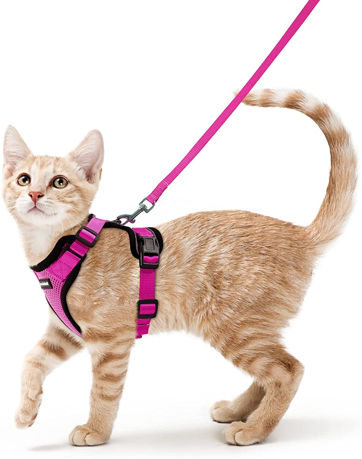 Cat Harness and Leash for Walking, Escape Proof Soft Adjustable Vest Harnesses for Cats, Easy Control Breathable Reflective Strips Jacket, Black, S