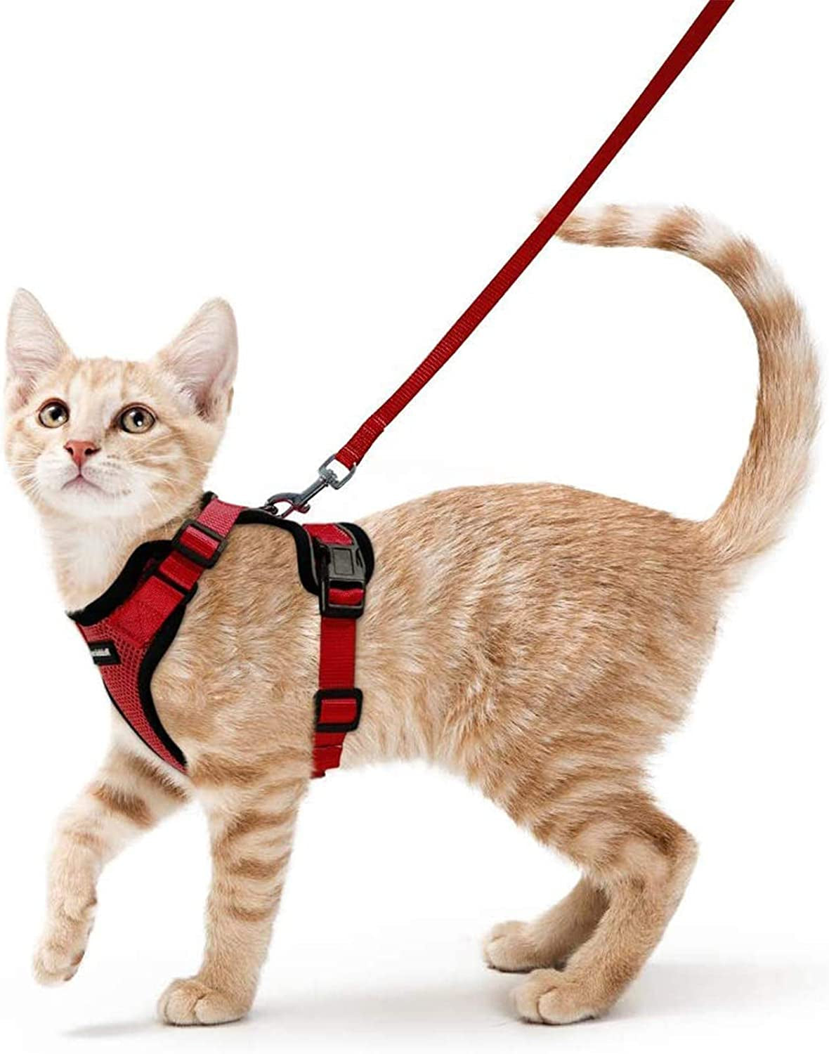 Cat Harness and Leash for Walking, Escape Proof Soft Adjustable Vest Harnesses for Cats, Easy Control Breathable Reflective Strips Jacket, Black, S