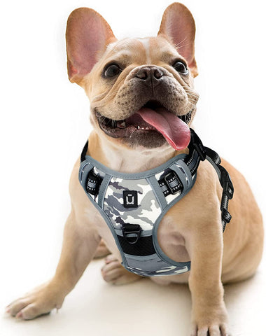 Dog Harness Waldseemuller Dog Harness for Large Dogs No Pull,Harness Medium Size Dog 4 Buckles Easy Walk Harness,No Pull Harness for Small to Extra Large Dog,Puppy Harness for Puppy Training