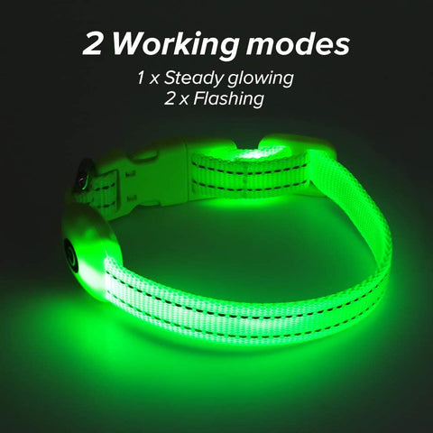 Light up Dog Collars - Rechargeable Glowing LED Dog Collar for Small Dogs & Cats (Green)