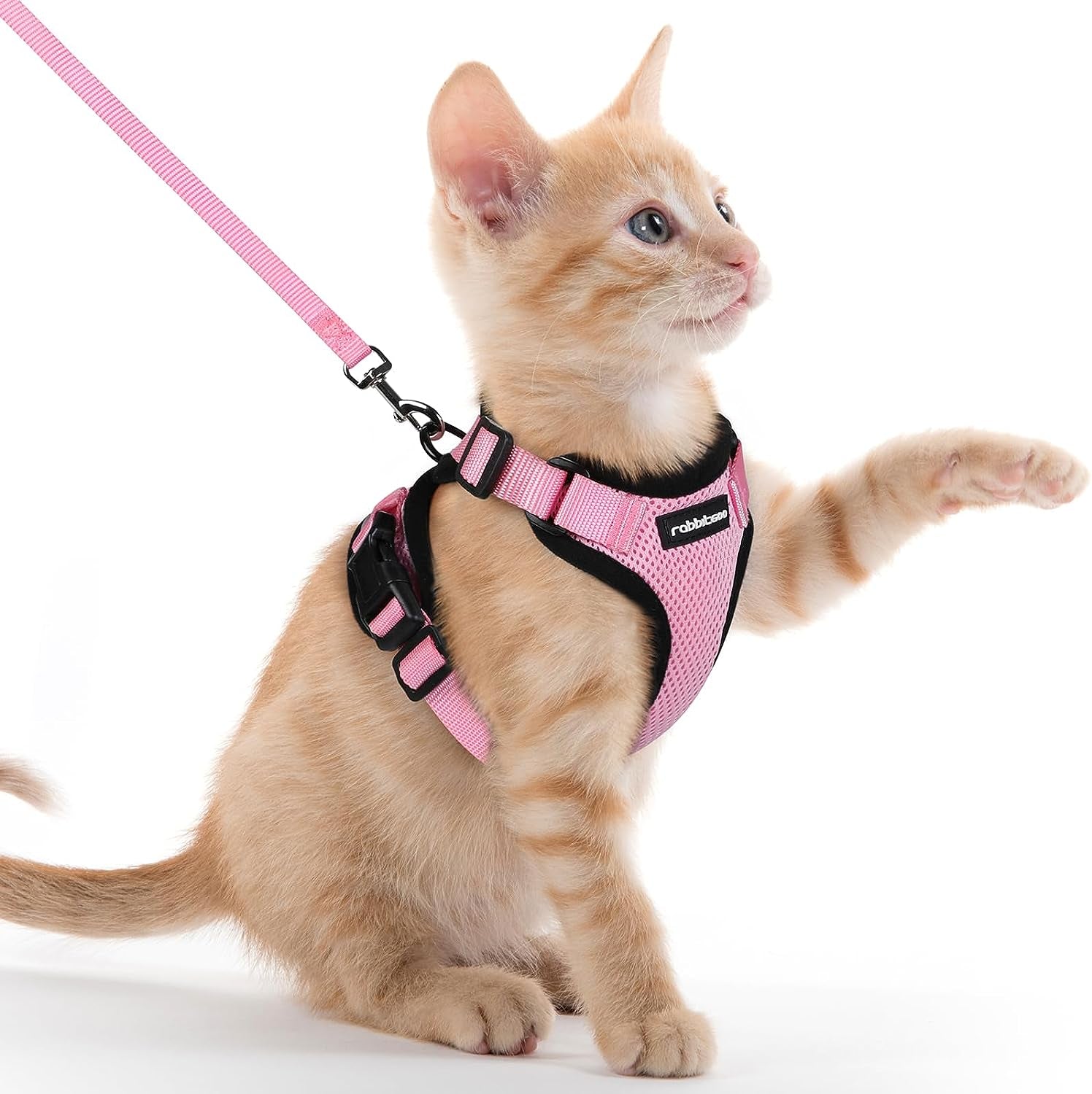 Cat Harness and Leash for Walking, Escape Proof Soft Adjustable Vest Harnesses for Cats, Easy Control Breathable Reflective Strips Jacket, Black, S