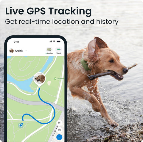 XL GPS Tracker & Health Monitoring for Dogs (50 Lbs+) - Market Leading Pet GPS Location Tracker | Wellness & Escape Alerts | Waterproof | Works with Any Collar (Green)