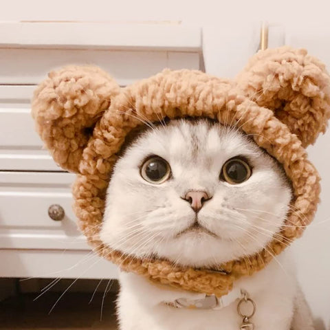 Cute Cat Costume Warm Bear Hat for Cat Adjustable Soft Small Pet Headwear Bear Hat for Cat Puppy Dog (Brown)