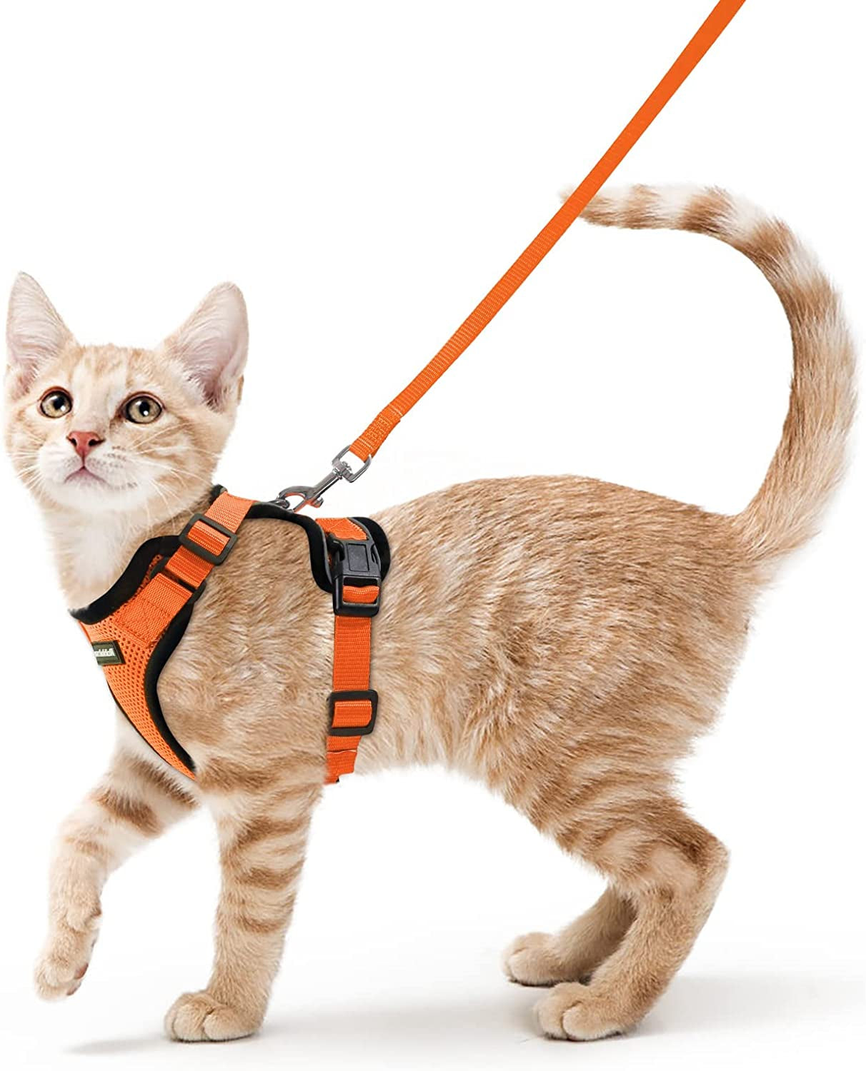 Cat Harness and Leash for Walking, Escape Proof Soft Adjustable Vest Harnesses for Cats, Easy Control Breathable Reflective Strips Jacket, Black, S