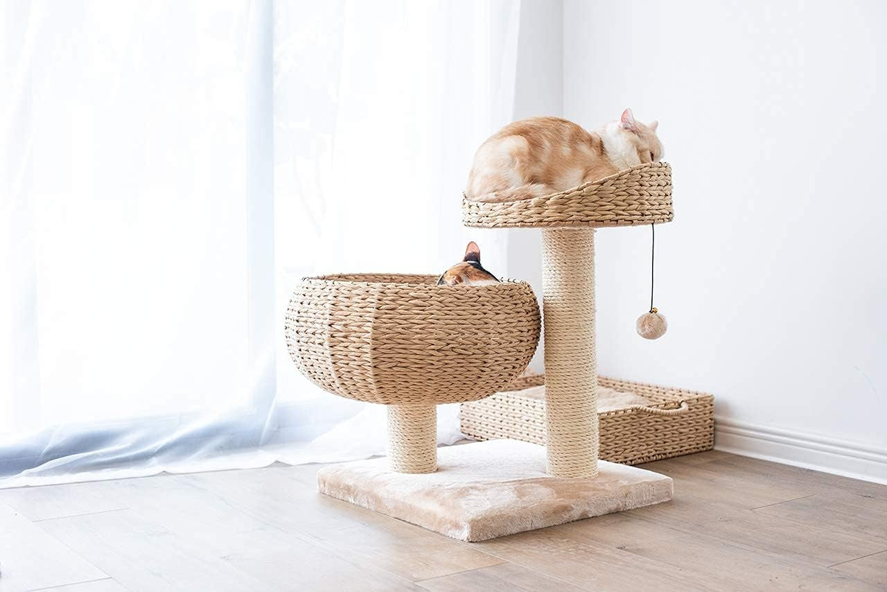 Paper Rope Natural Bowl Shaped with Perch Cat Tree