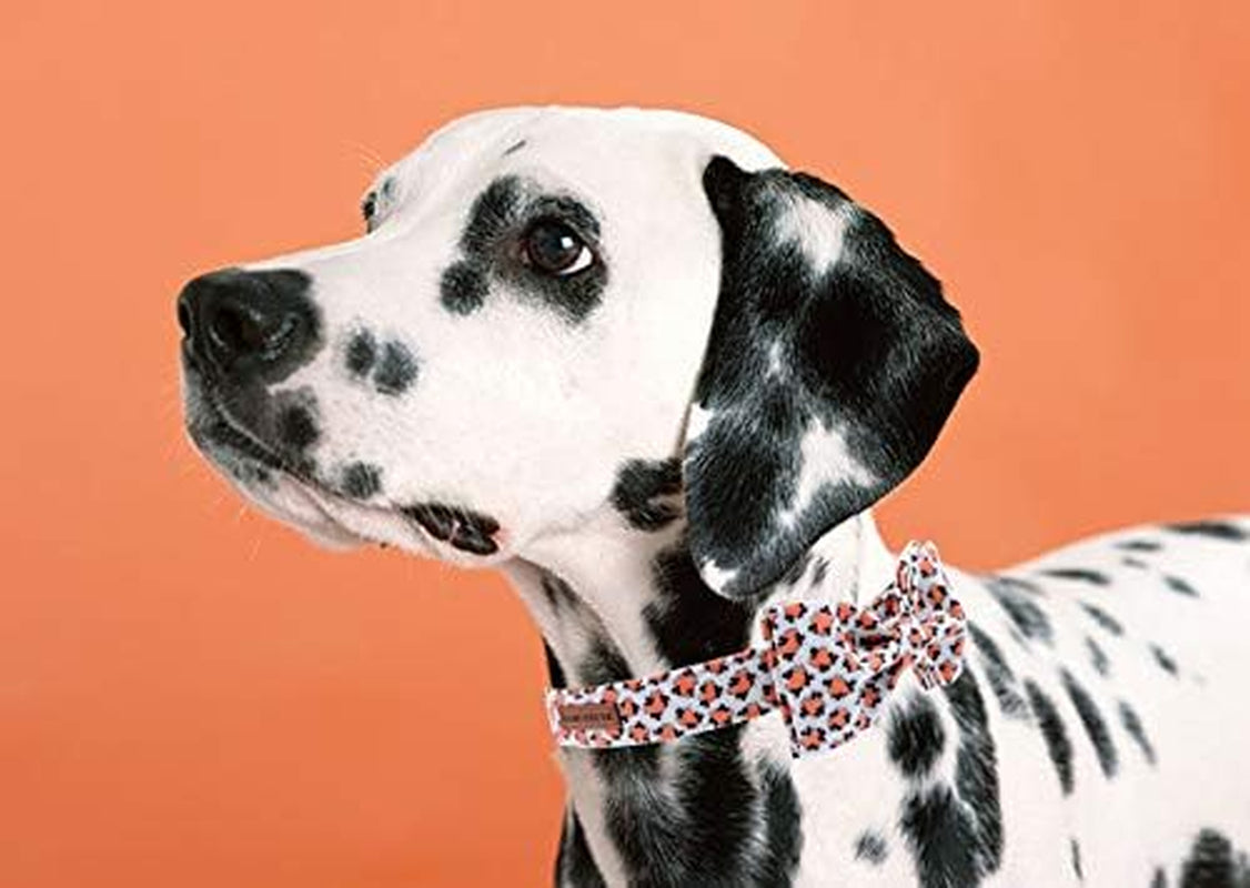 Dog Collar with Bow, Comfotable Dog Bowtie, Bowtie Dog Collar Adjustable Dog Collars for Small Medium Large Dogs and Cats