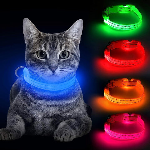 Light up Dog Collars - Rechargeable Glowing LED Dog Collar for Small Dogs & Cats (Green)