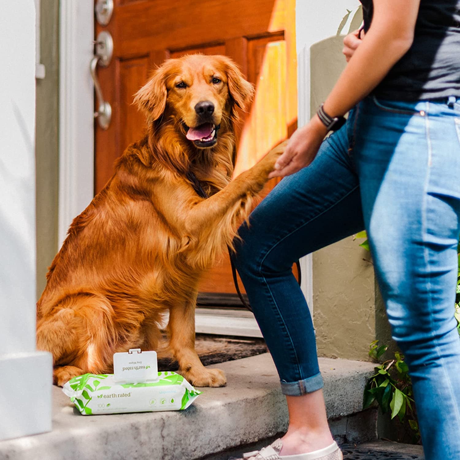 Plant Based Dog Wipes - Cleaning and Odor-Controlling Grooming Wipes for Paws, Body, and Butt - Perfect for Puppy and Adult Dogs - Unscented - 100 Count