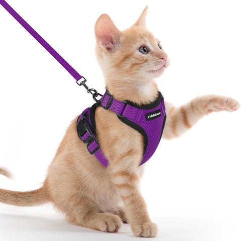 Cat Harness and Leash for Walking, Escape Proof Soft Adjustable Vest Harnesses for Cats, Easy Control Breathable Reflective Strips Jacket, Black, S