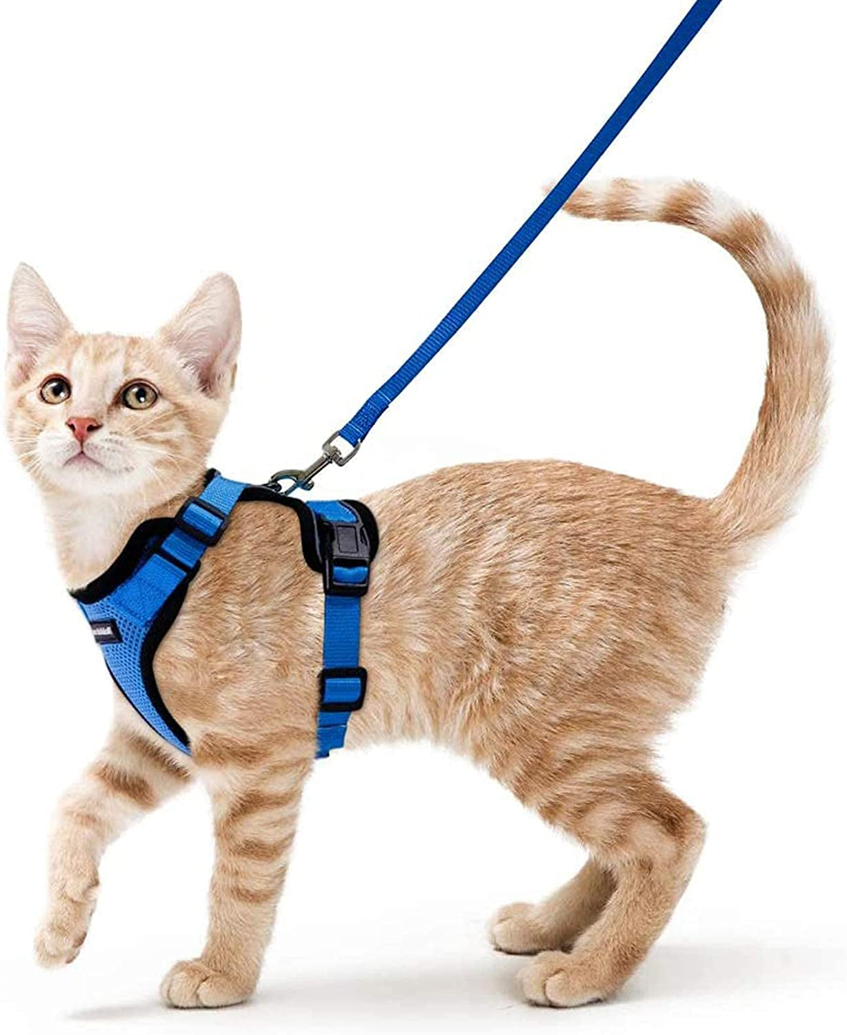 Cat Harness and Leash for Walking, Escape Proof Soft Adjustable Vest Harnesses for Cats, Easy Control Breathable Reflective Strips Jacket, Black, S