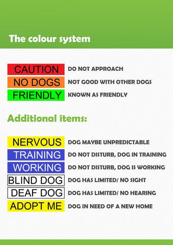 Service Dog Blue Color Coded S-M L-XL Buckle Dog Collar (Do Not Disturb) Prevents Accidents by Warning Others of Your Dog in Advance (S-M Collar 10-17" Lx1 W)