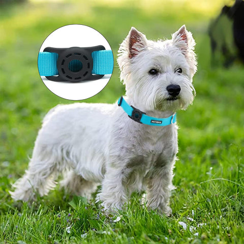 Nylon Dog Collar with Safety Locking Buckle, Adjustable Pet Collars and Leash Set with Airtag Dog Collar Holder for Small Medium Large Dogs