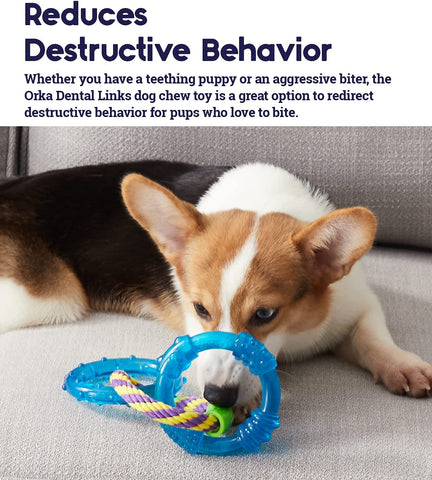 Orka Dental Links Dog Chew Toy