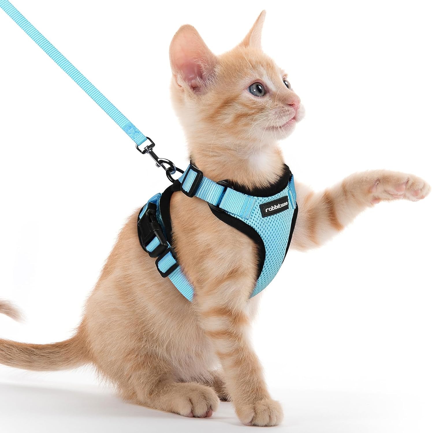 Cat Harness and Leash for Walking, Escape Proof Soft Adjustable Vest Harnesses for Cats, Easy Control Breathable Reflective Strips Jacket, Black, S