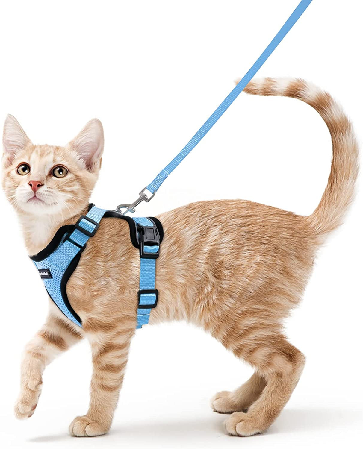 Cat Harness and Leash for Walking, Escape Proof Soft Adjustable Vest Harnesses for Cats, Easy Control Breathable Reflective Strips Jacket, Black, S