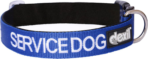 Service Dog Blue Color Coded S-M L-XL Buckle Dog Collar (Do Not Disturb) Prevents Accidents by Warning Others of Your Dog in Advance (S-M Collar 10-17" Lx1 W)