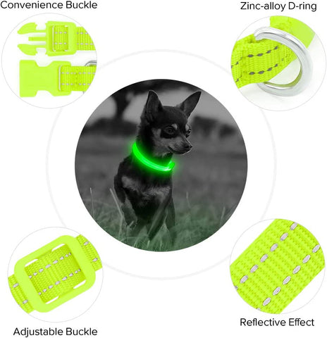 Light up Dog Collars - Rechargeable Glowing LED Dog Collar for Small Dogs & Cats (Green)