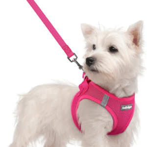 Dog Harness Small Sized and Leash Set Step in Soft Light Puppy Vest Breathable Mesh