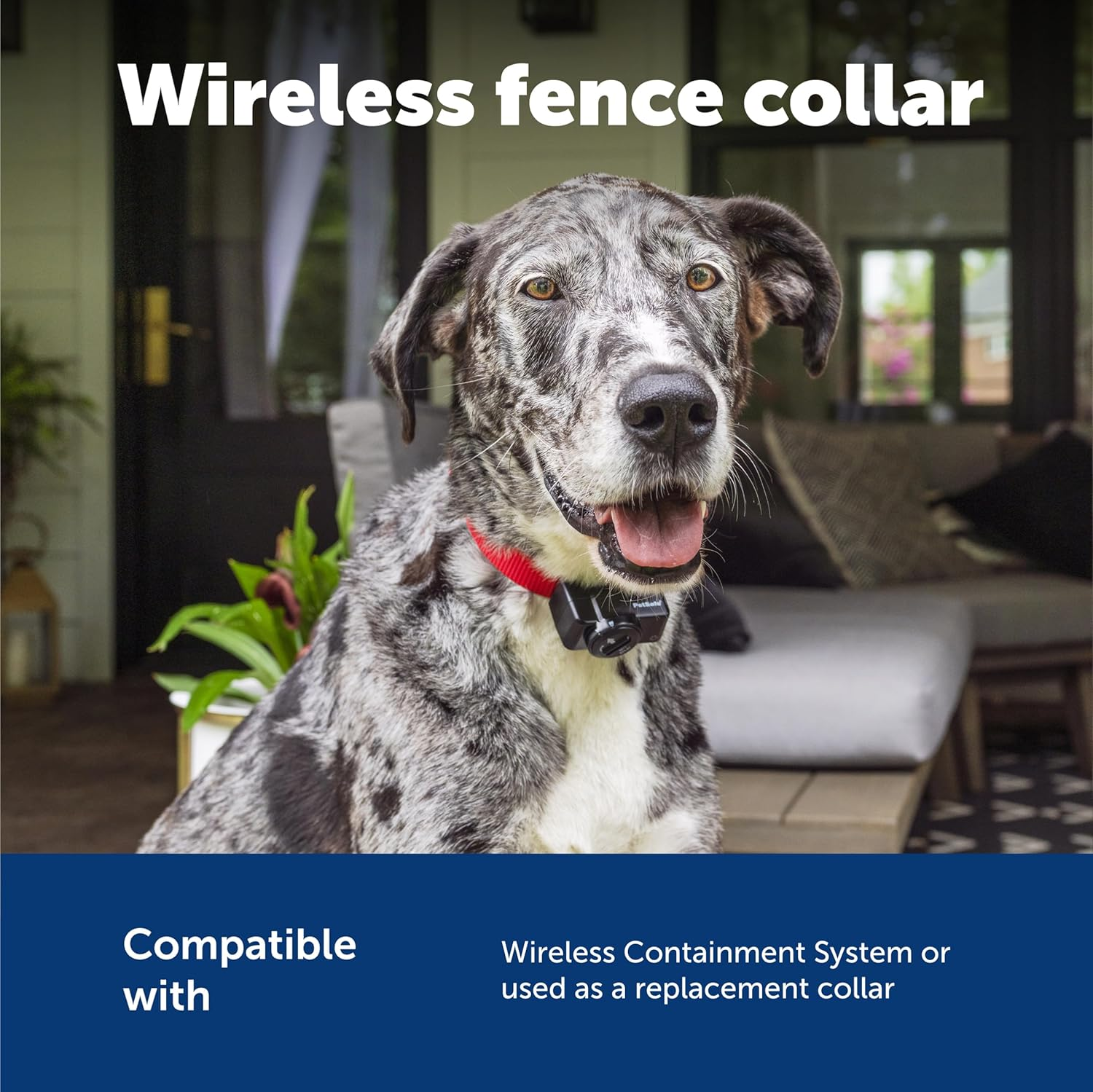 Wireless Pet Containment System Receiver Collar Battery-Operated & Waterproof - Image 6