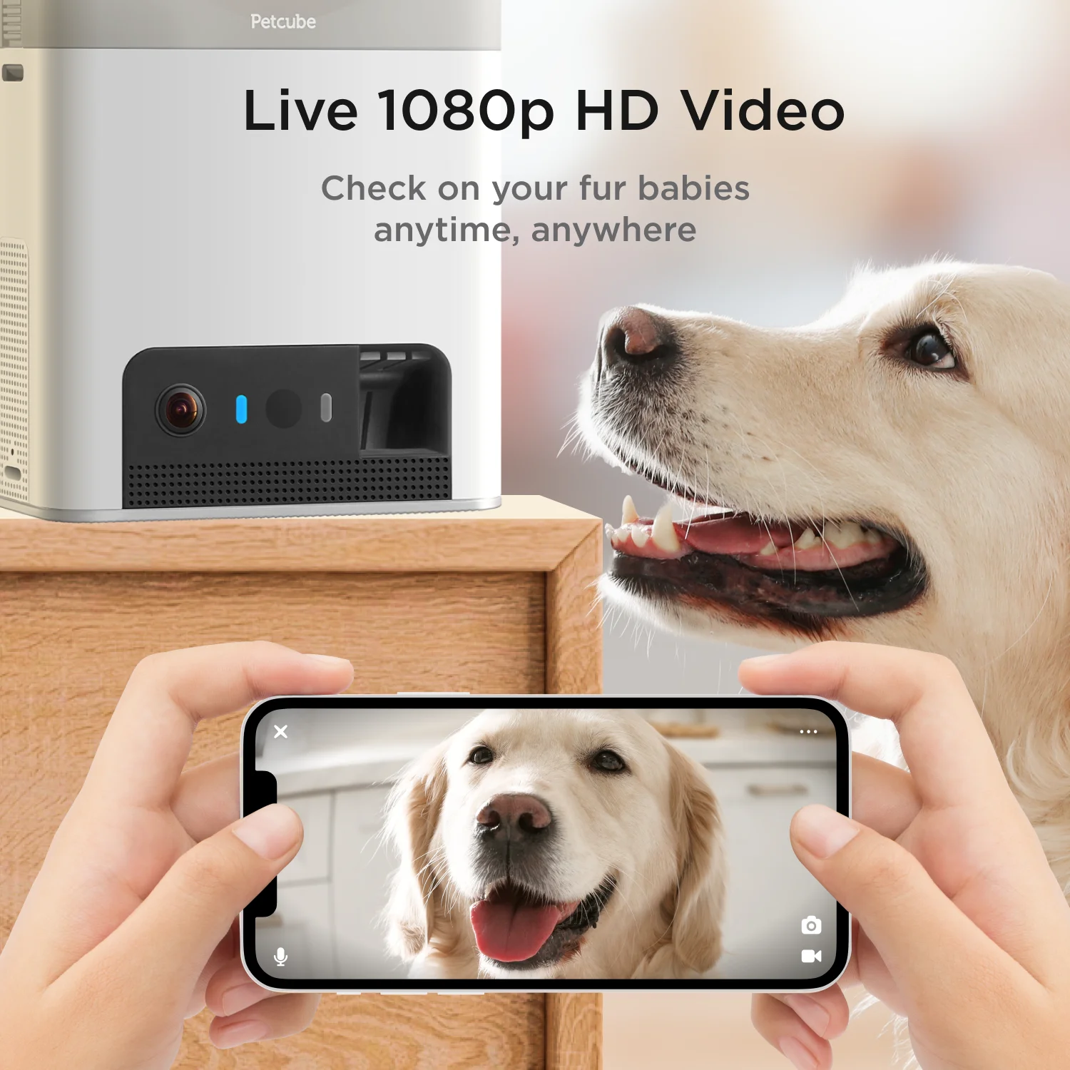 Bites 2 Lite Wifi Pet Camera with Treat Dispenser 1080P HD Video Two-Way Audio - Image 2
