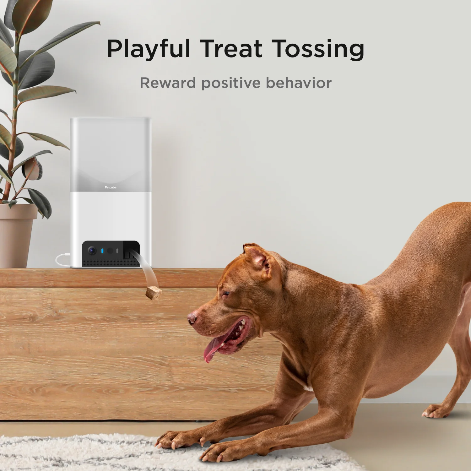 Bites 2 Lite Wifi Pet Camera with Treat Dispenser 1080P HD Video Two-Way Audio - Image 3