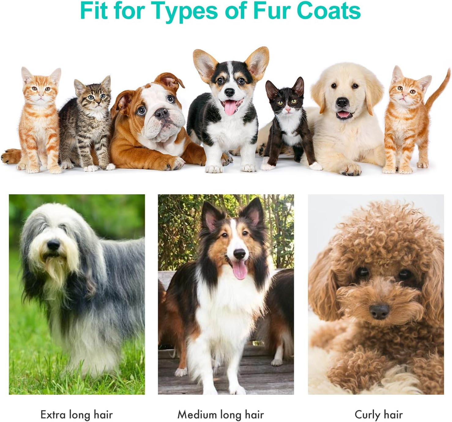 P1 Pro Pet Grooming Kit & Vacuum Suction 99% Pet Hair Professional Clippers - Image 4