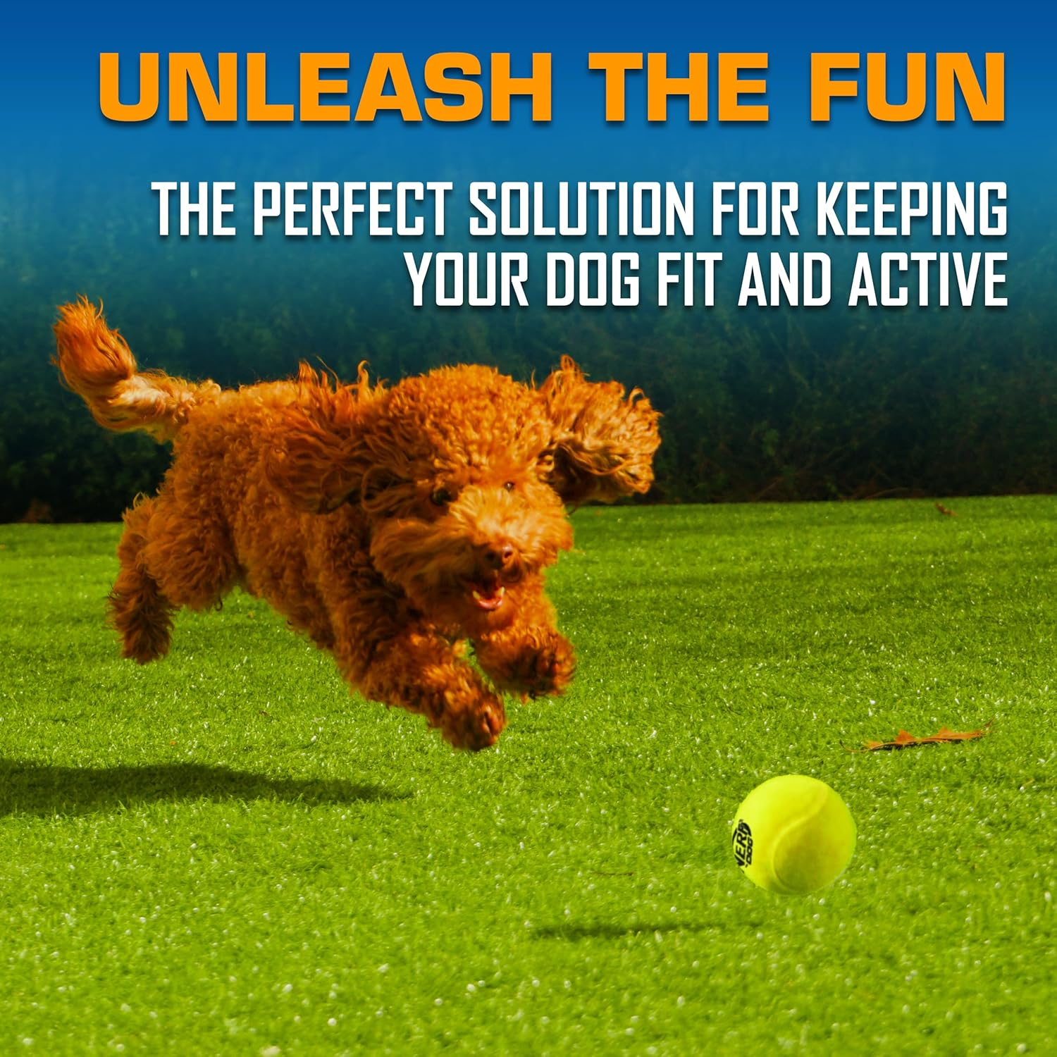 Tennis Ball Blaster Dog Toy Gift Set Tennis Ball Dog Fetch Toy Launches up to 50 Ft - Image 3